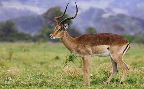 �x���Ĳ������и�4ƪ