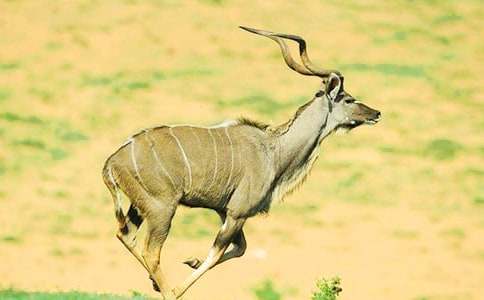 ���������ݡ��̲Ľ��x��ͨ��6ƪ��