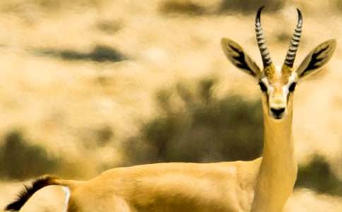 ����ľ���x���(�])