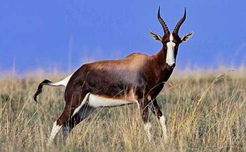 ������ľ���x��о��x15ƪ