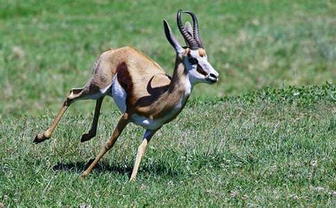 ������ľ���x���(15ƪ)