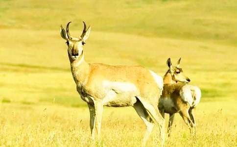 HR�������Ї���I(y��)�������Ļ�