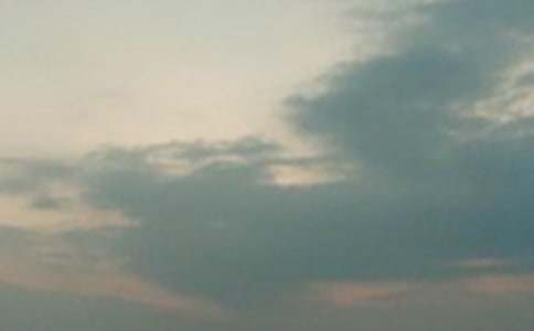 �賿�l(f��)Ȧ׌����˲�g�A�ĵ��İ�