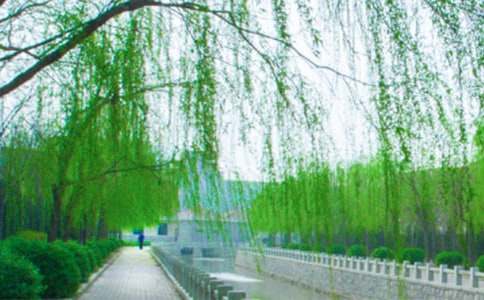 ��������Ĺ�15ƪ