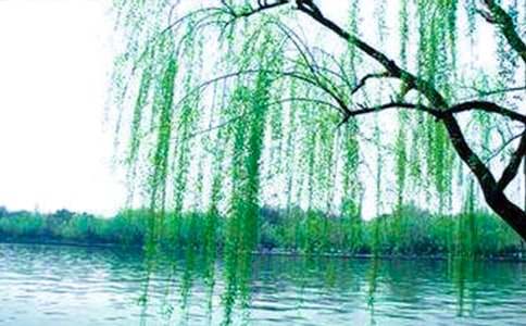 ���P(gu��n)���������Ԋ��