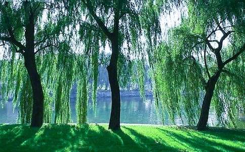 ������^����ӛ����