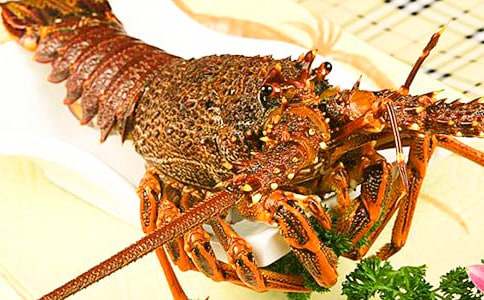 �����x�����r�ҳ�����