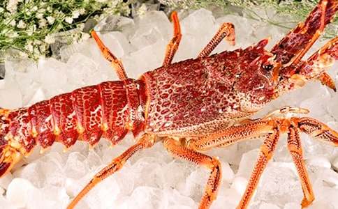 (��(y��u))���r�ҳ�����