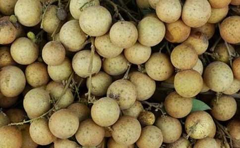 ���l�خa��������