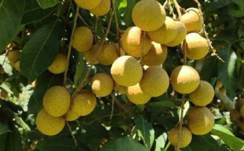 ���۳Զ��˕���ô��