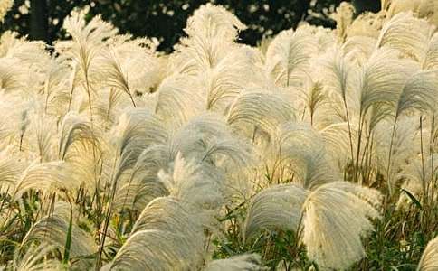 �����l(xi��ng)���JȔ���̌W(xu��)�O(sh��)Ӌ(j��)