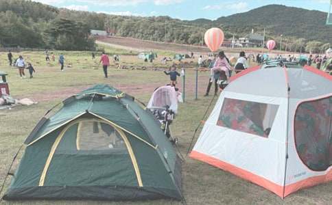 ���P¶�I�����\����ƪ