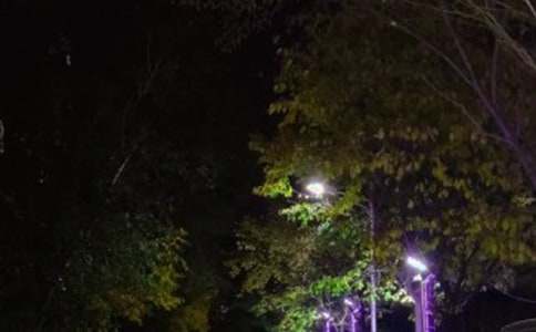 ·�����bՈ(q��ng)ʾ��(b��o)�棨ͨ��10ƪ��