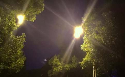 ·���������̺�ͬ