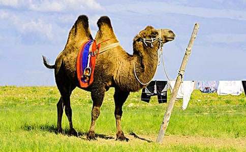 �����񄡷�n��˼(5ƪ)