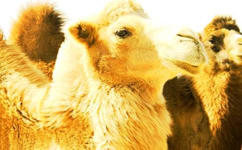 �����̌W(xu��)�O(sh��)Ӌ(j��)