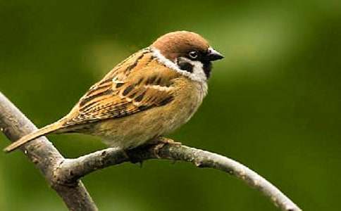 ����ȸ���u�n��