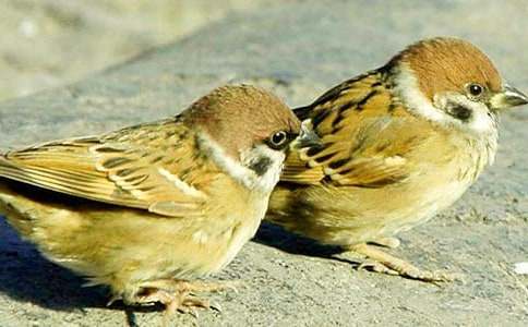 С��ȸ����(15ƪ)