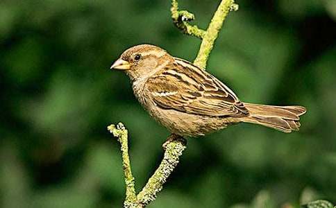 ����(j��ng)�䡿�x����ȸ���и�