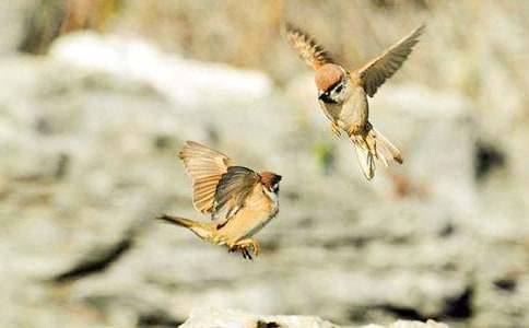 [��(j��ng)��]����ȸ���u(p��ng)�n��4ƪ