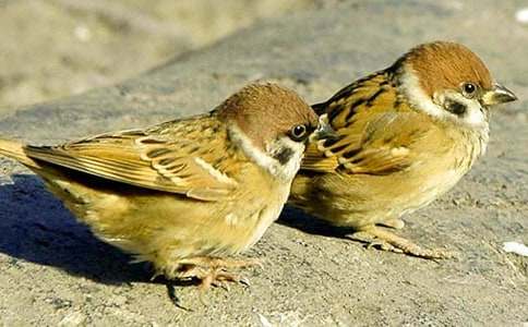 �x����ȸ���и�(����15ƪ)