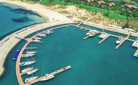 �a�^�D(zhu��n)��f(xi��)�h