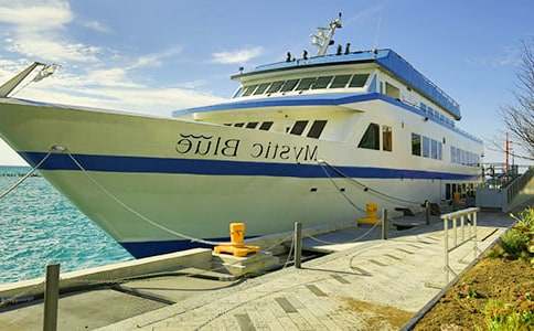 ��݆�ɴa�^���֠�������ʲô܇(ch��)