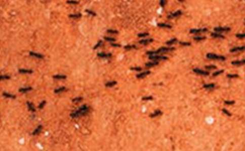 Λρ���X�X�x���