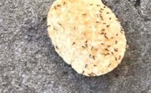  ��Λρ���X�X���и�3ƪ