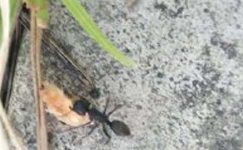  ��Λρ���X�X���и�