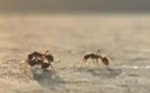 Λρ�F�Y���ģ����]��