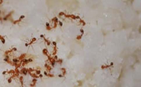 ���꼉(j��)�ƌW(xu��)��Λρ���u(p��ng)�n��