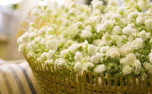 �M��������15ƪ