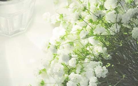 �����x���M��������