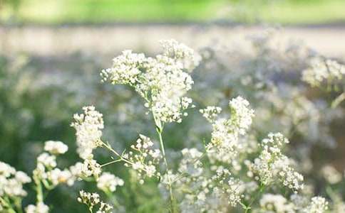 ����M���ǹ�