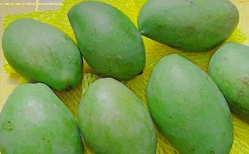 â��������ģ���(y��u)��15ƪ��