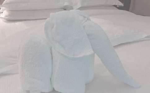 ë��V���Z(11ƪ)