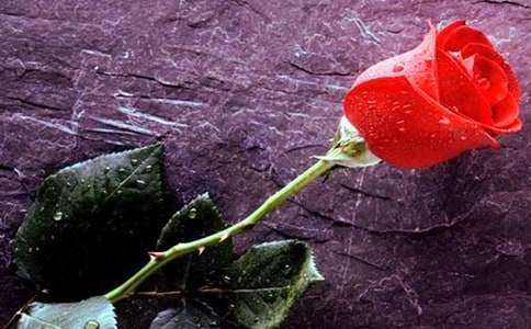 19��õ�����ʲô-����ƪ