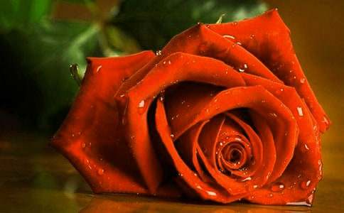 99֧õ�廨���b�����̳�