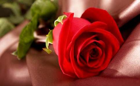 õ��������İ�