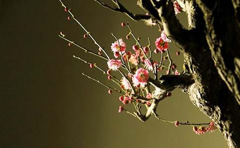 ÷�����u�n��