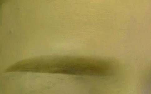 ���֮�üë�ļ��ɈD��