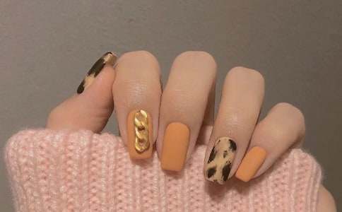 �����׵��İ�