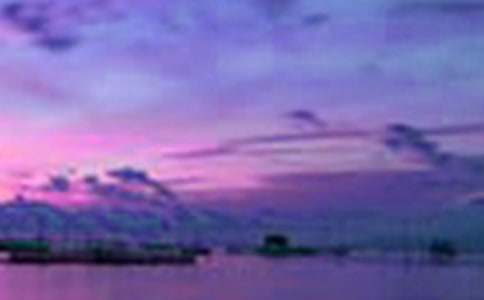 ���(zh��n)��������