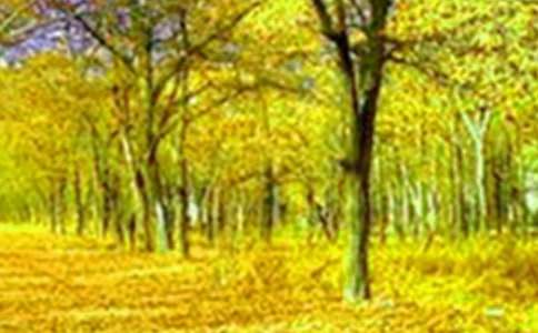 С�^(q��)����������