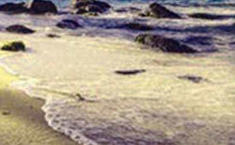 ���@����������