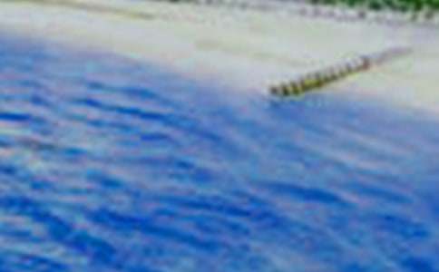 ����Ȼ����������