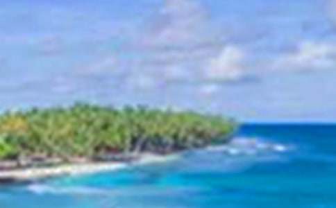 ������������(����15ƪ)