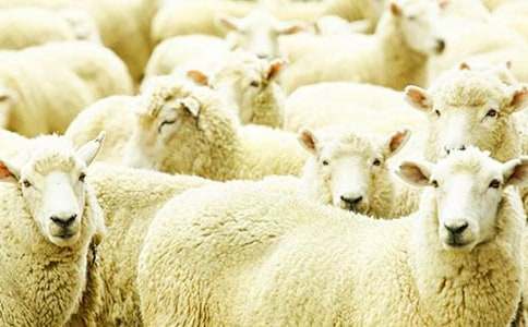 С��ˇ�g�̰���С�d��������