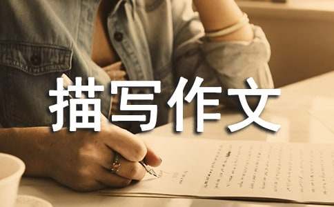 �������茑����